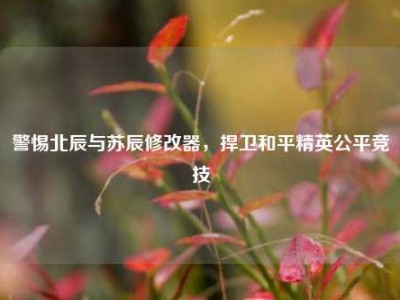 警惕北辰与苏辰修改器，捍卫和平精英公平竞技