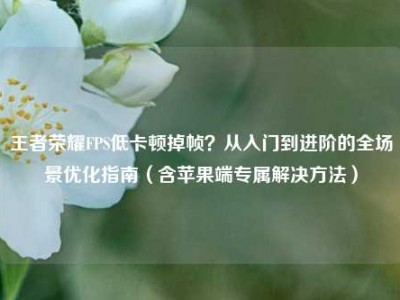 王者荣耀FPS低卡顿掉帧？从入门到进阶的全场景优化指南（含苹果端专属解决方法）