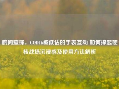 腕间藏锋，COD16被低估的手表互动 如何撑起硬核战场沉浸感及使用方法解析
