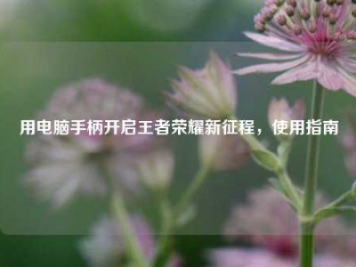用电脑手柄开启王者荣耀新征程，使用指南