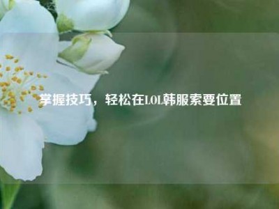 掌握技巧，轻松在LOL韩服索要位置
