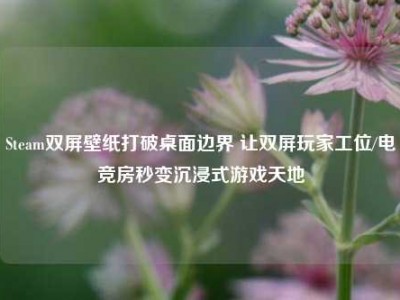 Steam双屏壁纸打破桌面边界 让双屏玩家工位/电竞房秒变沉浸式游戏天地