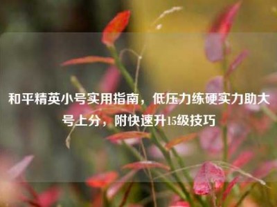 和平精英小号实用指南，低压力练硬实力助大号上分，附快速升15级技巧