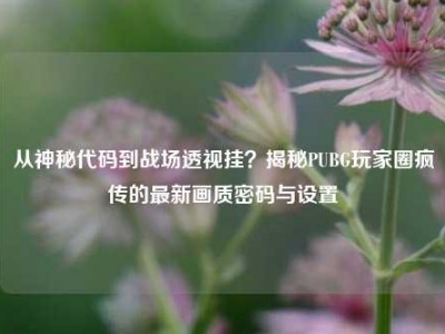 从神秘代码到战场透视挂？揭秘PUBG玩家圈疯传的最新画质密码与设置