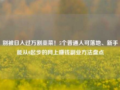 别被日入过万割韭菜！5个普通人可落地、新手能从0起步的网上赚钱副业方法盘点