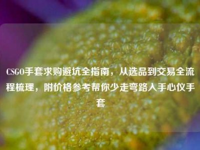 CSGO手套求购避坑全指南，从选品到交易全流程梳理，附价格参考帮你少走弯路入手心仪手套