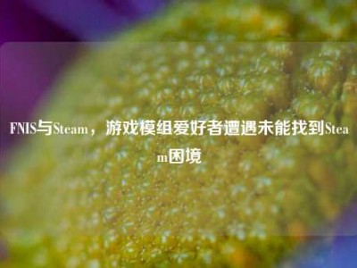 FNIS与Steam，游戏模组爱好者遭遇未能找到Steam困境