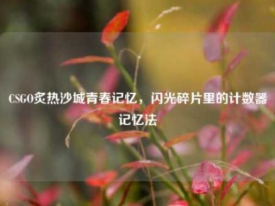 CSGO炙热沙城青春记忆，闪光碎片里的计数器记忆法