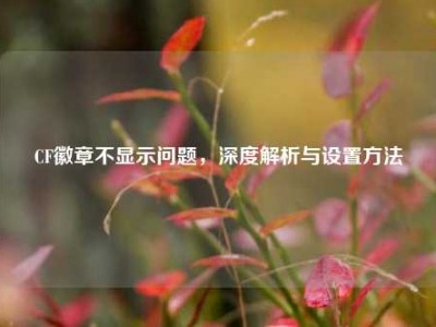 CF徽章不显示问题，深度解析与设置方法