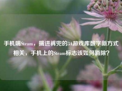 手机端Steam，揣进裤兜的3A游戏库数字新方式相关，手机上的Steam标志该如何消除？
