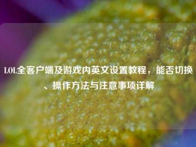 LOL全客户端及游戏内英文设置教程，能否切换、操作方法与注意事项详解