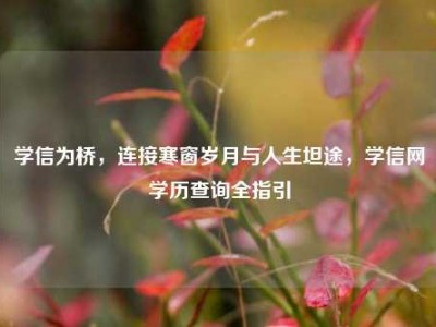 学信为桥，连接寒窗岁月与人生坦途，学信网学历查询全指引