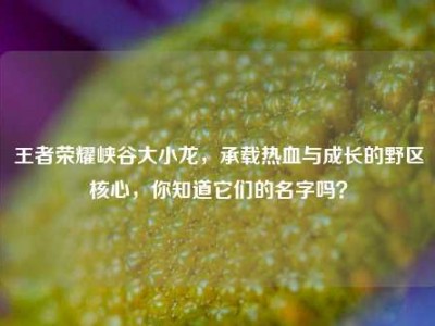 王者荣耀峡谷大小龙，承载热血与成长的野区核心，你知道它们的名字吗？