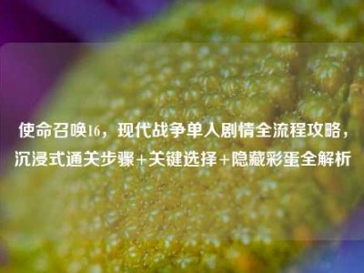 使命召唤16，现代战争单人剧情全流程攻略，沉浸式通关步骤+关键选择+隐藏彩蛋全解析