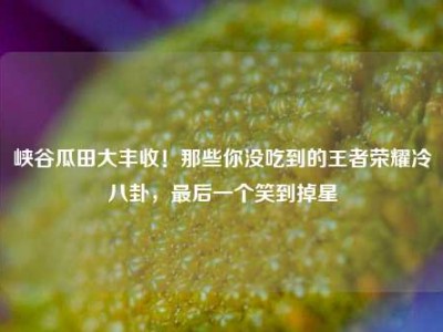 峡谷瓜田大丰收！那些你没吃到的王者荣耀冷八卦，最后一个笑到掉星