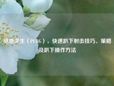 绝地求生（PUBG），快速趴下射击技巧、策略及趴下操作方法
