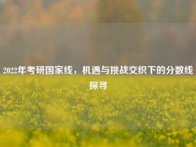 2022年考研国家线，机遇与挑战交织下的分数线探寻