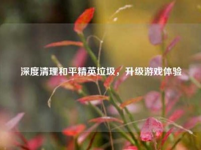 深度清理和平精英垃圾，升级游戏体验