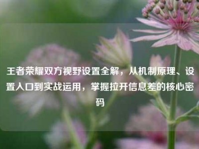 王者荣耀双方视野设置全解，从机制原理、设置入口到实战运用，掌握拉开信息差的核心密码