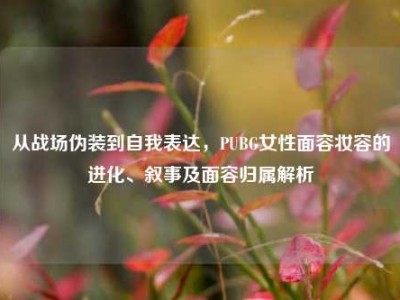 从战场伪装到自我表达，PUBG女性面容妆容的进化、叙事及面容归属解析