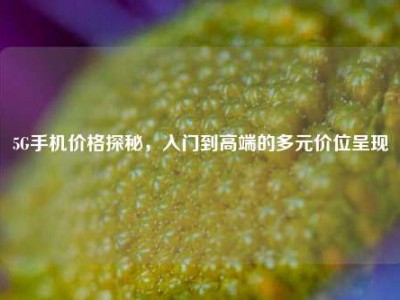 5G手机价格探秘，入门到高端的多元价位呈现