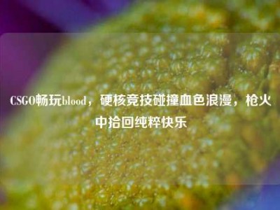 CSGO畅玩blood，硬核竞技碰撞血色浪漫，枪火中拾回纯粹快乐