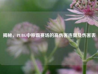 揭秘，PUBG中称霸赛场的高伤害连狙及伤害表