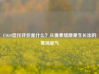 CSGO信任评价是什么？从像素缝隙里生长出的赛场底气