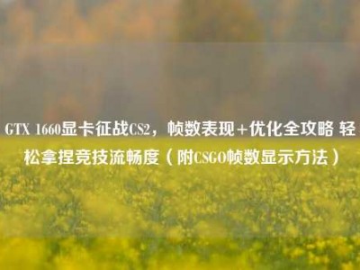 GTX 1660显卡征战CS2，帧数表现+优化全攻略 轻松拿捏竞技流畅度（附CSGO帧数显示方法）
