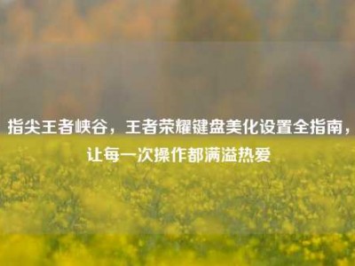 指尖王者峡谷，王者荣耀键盘美化设置全指南，让每一次操作都满溢热爱