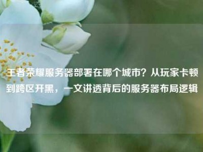 王者荣耀服务器部署在哪个城市？从玩家卡顿到跨区开黑，一文讲透背后的服务器布局逻辑