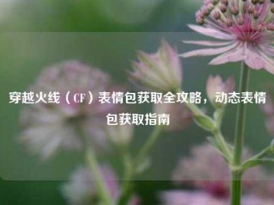穿越火线（CF）表情包获取全攻略，动态表情包获取指南