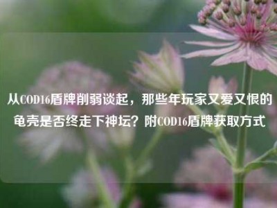 从COD16盾牌削弱谈起，那些年玩家又爱又恨的龟壳是否终走下神坛？附COD16盾牌获取方式