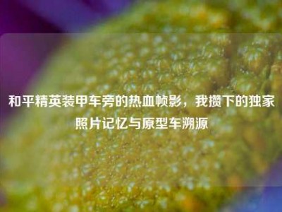 和平精英装甲车旁的热血帧影，我攒下的独家照片记忆与原型车溯源