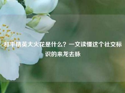 和平精英大火花是什么？一文读懂这个社交标识的来龙去脉