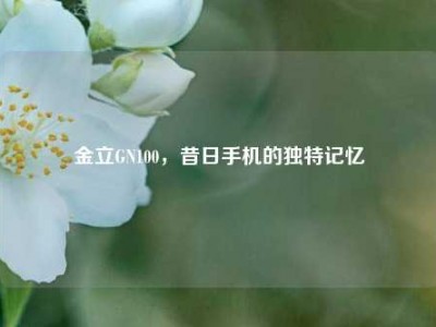 金立GN100，昔日手机的独特记忆