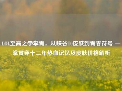 LOL至高之拳李青，从峡谷T0皮肤到青春符号 一拳贯穿十二年热血记忆及皮肤价格解析