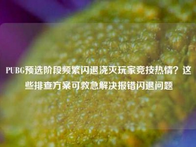 PUBG预选阶段频繁闪退浇灭玩家竞技热情？这些排查方案可救急解决报错闪退问题