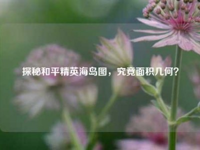 探秘和平精英海岛图，究竟面积几何？