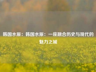 韩国水原：韩国水原：一座融合历史与现代的魅力之城
