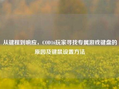 从键程到响应，COD16玩家寻找专属游戏键盘的原因及键鼠设置方法
