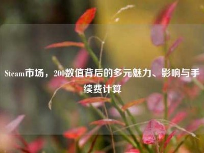 Steam市场，200数值背后的多元魅力、影响与手续费计算
