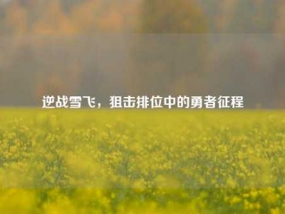 逆战雪飞，狙击排位中的勇者征程