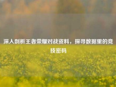 深入剖析王者荣耀对战资料，探寻数据里的竞技密码