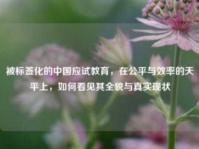 被标签化的中国应试教育，在公平与效率的天平上，如何看见其全貌与真实现状