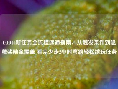 COD16新任务全流程速通指南，从触发条件到隐藏奖励全覆盖 看完少走2小时弯路轻松续玩任务