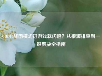 COD16战团模式进游戏就闪退？从根源排查到一键解决全指南