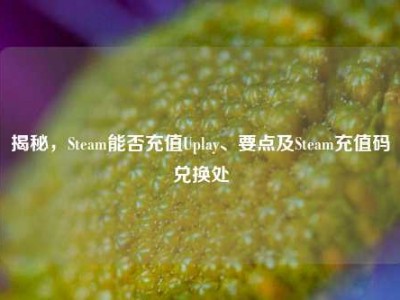 揭秘，Steam能否充值Uplay、要点及Steam充值码兑换处