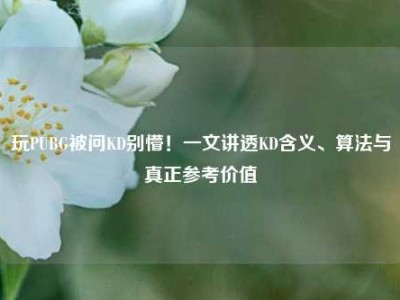 玩PUBG被问KD别懵！一文讲透KD含义、算法与真正参考价值