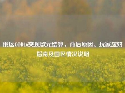 俄区COD16突现欧元结算，背后原因、玩家应对指南及国区情况说明